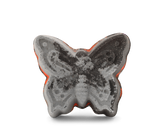 Ms. Quigley's Butterfly Specimen - Bath Bomb (Without Jewelry)